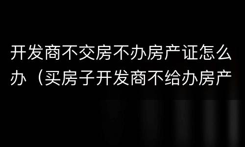 开发商不交房不办房产证怎么办（买房子开发商不给办房产证怎么办）