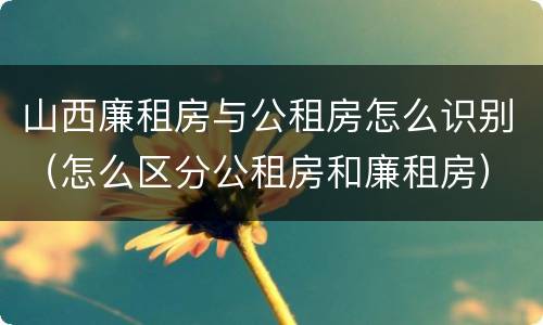 山西廉租房与公租房怎么识别（怎么区分公租房和廉租房）