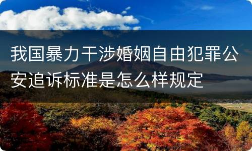 我国暴力干涉婚姻自由犯罪公安追诉标准是怎么样规定