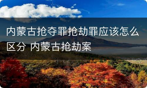 内蒙古抢夺罪抢劫罪应该怎么区分 内蒙古抢劫案