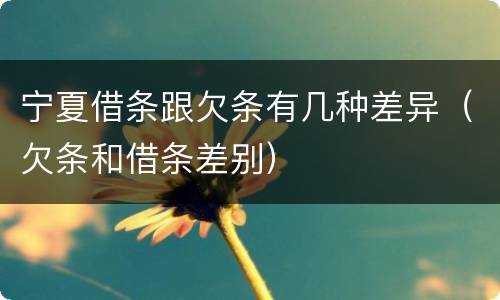 宁夏借条跟欠条有几种差异（欠条和借条差别）