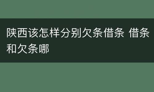 陕西该怎样分别欠条借条 借条和欠条哪