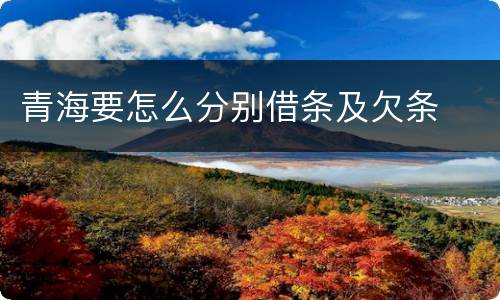 青海要怎么分别借条及欠条