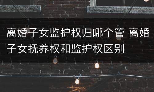 离婚子女监护权归哪个管 离婚子女抚养权和监护权区别