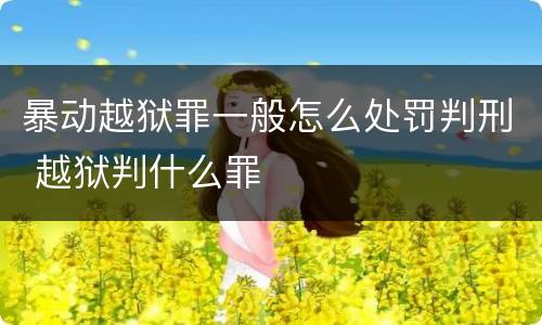 暴动越狱罪一般怎么处罚判刑 越狱判什么罪