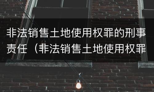 非法销售土地使用权罪的刑事责任（非法销售土地使用权罪的刑事责任主体）