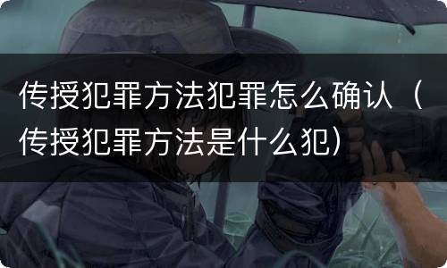 传授犯罪方法犯罪怎么确认（传授犯罪方法是什么犯）