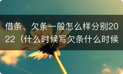 借条、欠条一般怎么样分别2022（什么时候写欠条什么时候写借条）