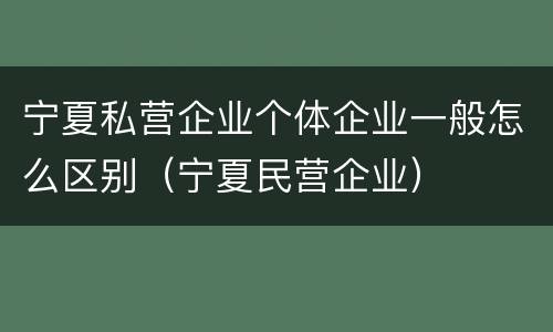 宁夏私营企业个体企业一般怎么区别（宁夏民营企业）