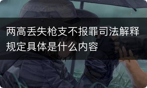 两高丢失枪支不报罪司法解释规定具体是什么内容