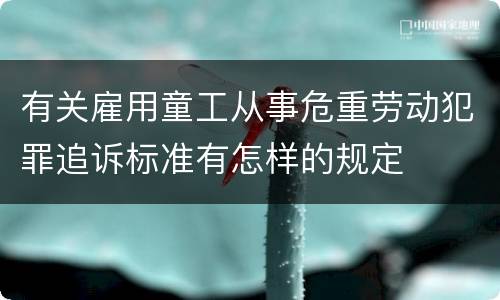 有关雇用童工从事危重劳动犯罪追诉标准有怎样的规定