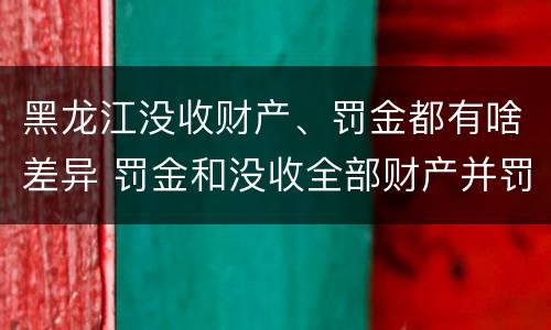 黑龙江没收财产、罚金都有啥差异 罚金和没收全部财产并罚
