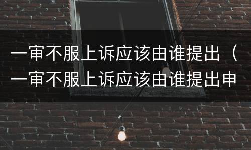 一审不服上诉应该由谁提出（一审不服上诉应该由谁提出申请）