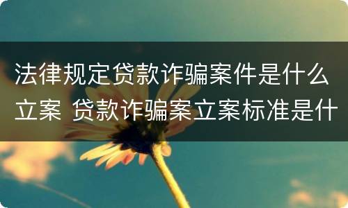 法律规定贷款诈骗案件是什么立案 贷款诈骗案立案标准是什么