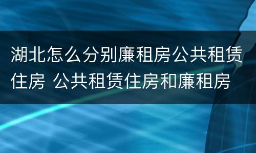 湖北怎么分别廉租房公共租赁住房 公共租赁住房和廉租房