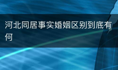 河北同居事实婚姻区别到底有何