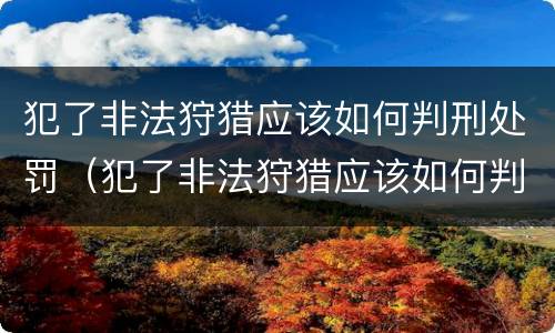 犯了非法狩猎应该如何判刑处罚（犯了非法狩猎应该如何判刑处罚呢）