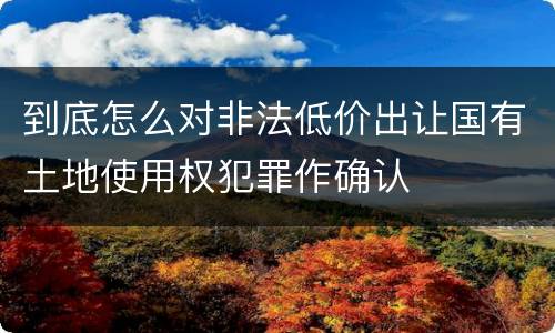 到底怎么对非法低价出让国有土地使用权犯罪作确认