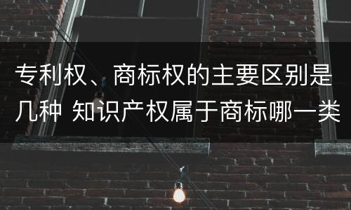 专利权、商标权的主要区别是几种 知识产权属于商标哪一类