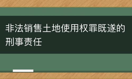 非法销售土地使用权罪既遂的刑事责任