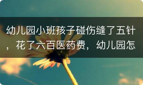 幼儿园小班孩子碰伤缝了五针，花了六百医药费，幼儿园怎么赔偿