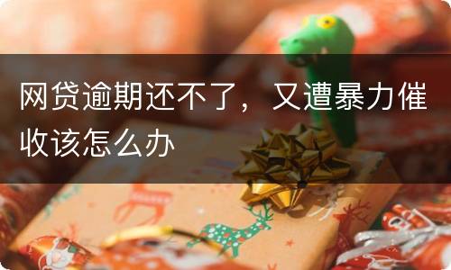 网贷逾期还不了，又遭暴力催收该怎么办