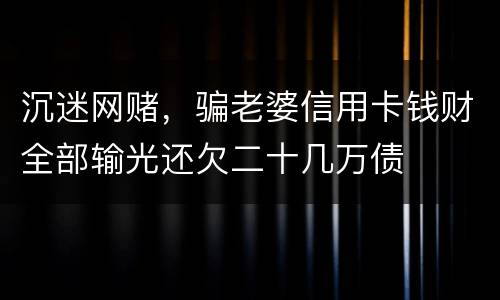沉迷网赌，骗老婆信用卡钱财全部输光还欠二十几万债