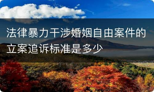 法律暴力干涉婚姻自由案件的立案追诉标准是多少
