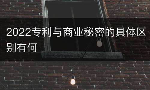 2022专利与商业秘密的具体区别有何