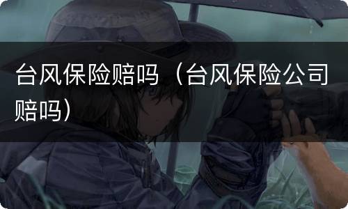 台风保险赔吗（台风保险公司赔吗）