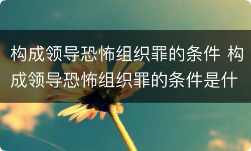 构成领导恐怖组织罪的条件 构成领导恐怖组织罪的条件是什么