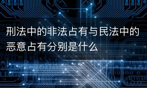 刑法中的非法占有与民法中的恶意占有分别是什么