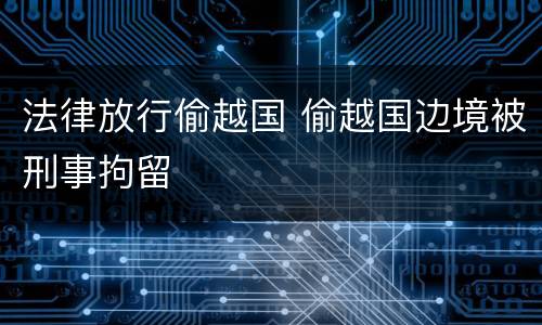 法律放行偷越国 偷越国边境被刑事拘留