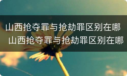 山西抢夺罪与抢劫罪区别在哪 山西抢夺罪与抢劫罪区别在哪里