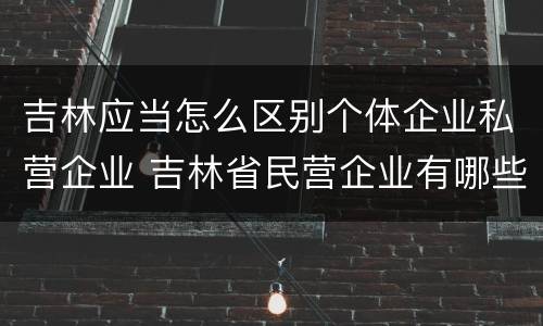 吉林应当怎么区别个体企业私营企业 吉林省民营企业有哪些