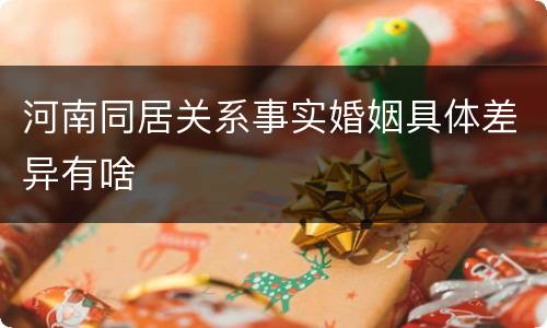 河南同居关系事实婚姻具体差异有啥