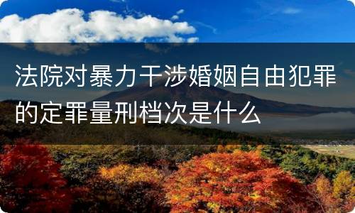 法院对暴力干涉婚姻自由犯罪的定罪量刑档次是什么