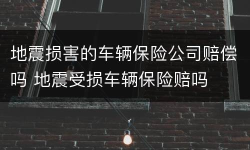 地震损害的车辆保险公司赔偿吗 地震受损车辆保险赔吗