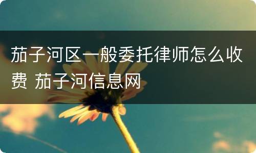 茄子河区一般委托律师怎么收费 茄子河信息网