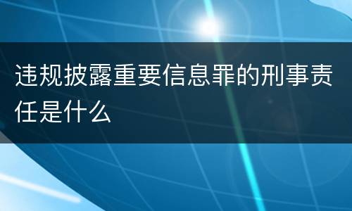 违规披露重要信息罪的刑事责任是什么