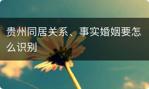 贵州同居关系、事实婚姻要怎么识别