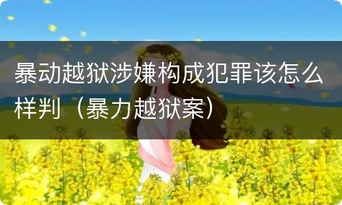 暴动越狱涉嫌构成犯罪该怎么样判（暴力越狱案）