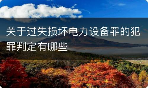 关于过失损坏电力设备罪的犯罪判定有哪些