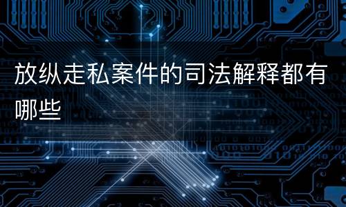 放纵走私案件的司法解释都有哪些