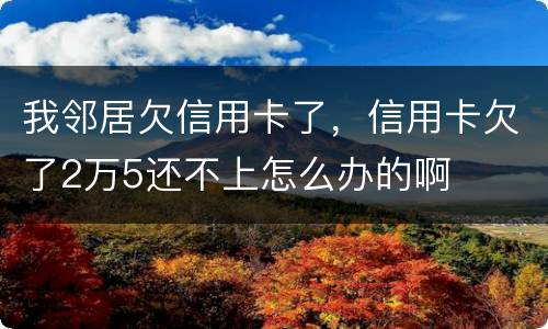 我邻居欠信用卡了，信用卡欠了2万5还不上怎么办的啊
