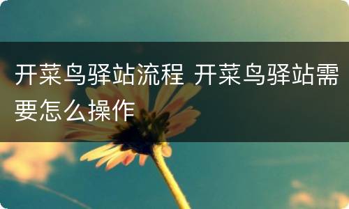 开菜鸟驿站流程 开菜鸟驿站需要怎么操作