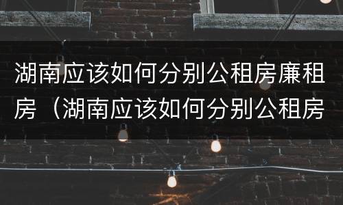 湖南应该如何分别公租房廉租房（湖南应该如何分别公租房廉租房和住宅）