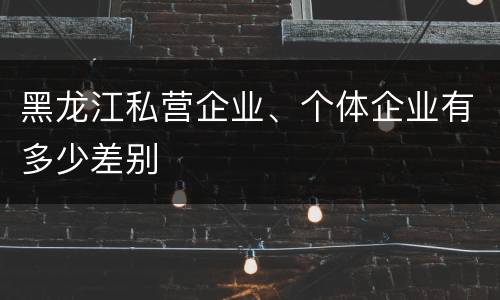 黑龙江私营企业、个体企业有多少差别