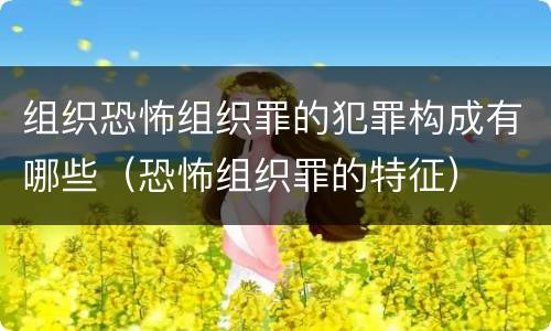 组织恐怖组织罪的犯罪构成有哪些（恐怖组织罪的特征）