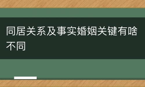 同居关系及事实婚姻关键有啥不同